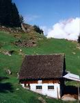 Aufstieg zum Arnisee