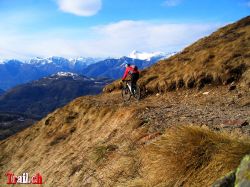 Trail im steilen Hang vom Motto della Croce gegen die Alp Davrosio