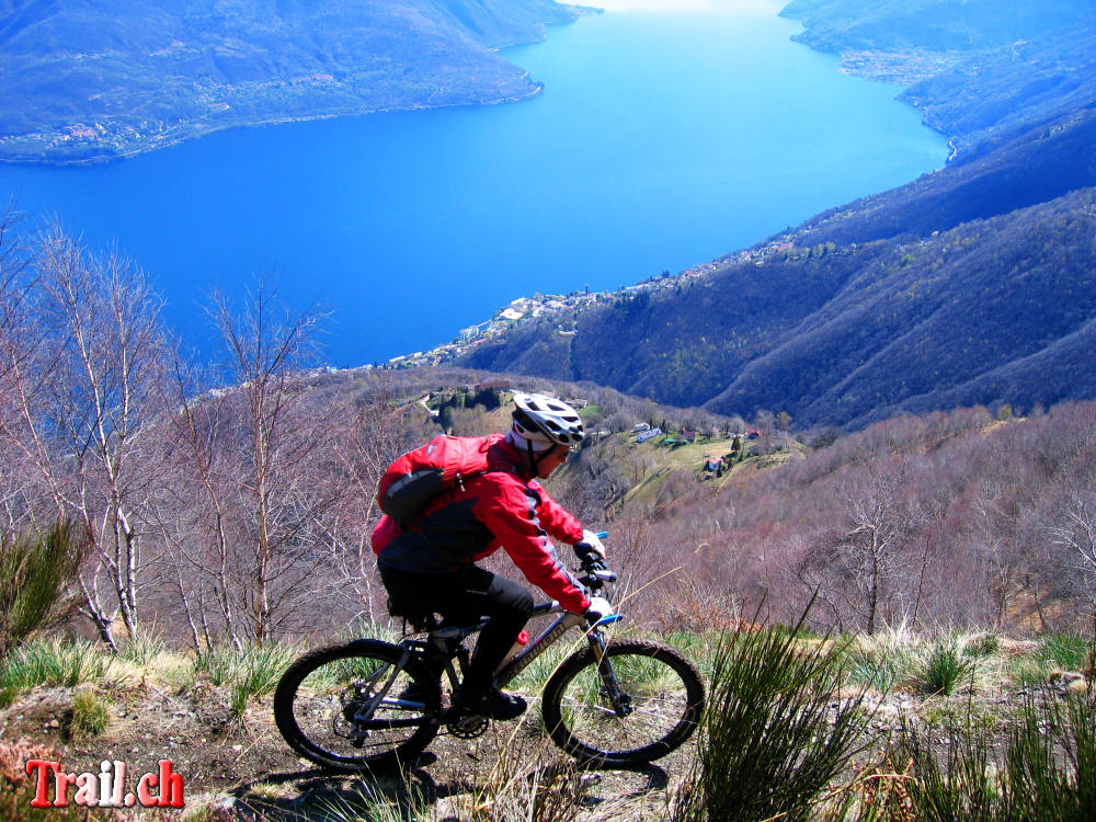 Tessin Mountainbike: Klasse Panorama Trail hoch über Brisaggo am Lago Maggiore 