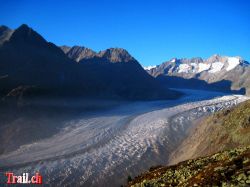 Aletschgletscher der längste und grösste Gletscher der Alpen
