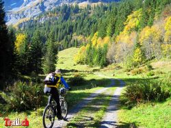 Chimiboden im Isenthal Herststimmung Mountainbike Tour