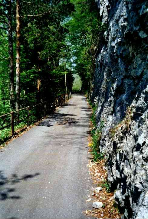 Aufstieg Richtung Glattenberg vorbei an Felswänden.